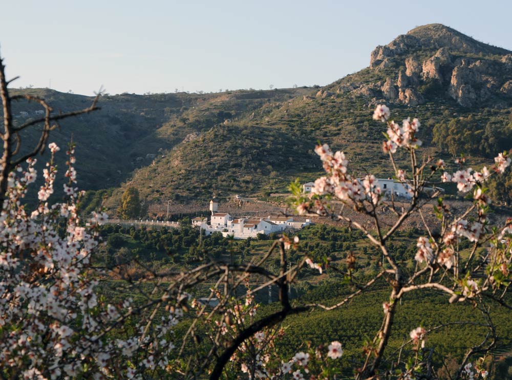 Casas rurales en los montes de Málaga